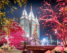 Load image into Gallery viewer, Salt Lake City Christmas Lights
