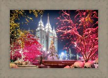 Load image into Gallery viewer, Salt Lake City Christmas Lights
