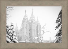 Load image into Gallery viewer, Salt Lake City High Key Snow
