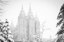 Load image into Gallery viewer, Salt Lake City High Key Snow
