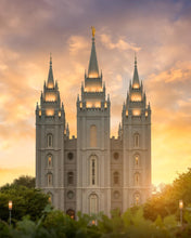 Load image into Gallery viewer, Salt Lake Golden
