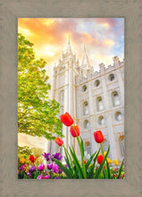 Load image into Gallery viewer, Salt Lake Spring Tulips
