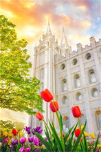 Load image into Gallery viewer, Salt Lake Spring Tulips
