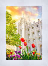 Load image into Gallery viewer, Salt Lake Spring Tulips

