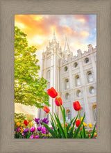 Load image into Gallery viewer, Salt Lake Spring Tulips
