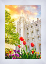 Load image into Gallery viewer, Salt Lake Spring Tulips
