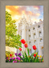Load image into Gallery viewer, Salt Lake Spring Tulips
