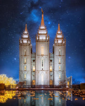 Load image into Gallery viewer, Salt Lake Starry Night
