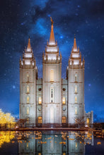 Load image into Gallery viewer, Salt Lake Starry Night
