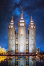 Load image into Gallery viewer, Salt Lake Starry Night
