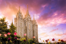 Load image into Gallery viewer, Salt Lake Tulips
