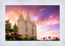 Load image into Gallery viewer, Salt Lake Tulips
