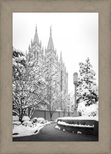 Load image into Gallery viewer, Salt Lake White Christmas
