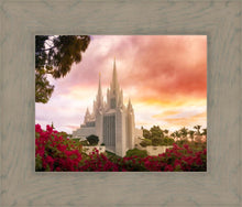 Load image into Gallery viewer, San Diego Flowers
