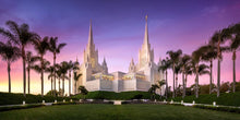 Load image into Gallery viewer, San Diego Lavender
