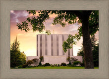 Load image into Gallery viewer, Seattle East Side
