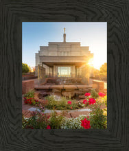 Load image into Gallery viewer, Snowflake Sunburst
