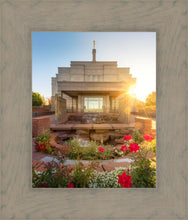 Load image into Gallery viewer, Snowflake Sunburst
