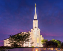 Load image into Gallery viewer, Spirit in St. Louis
