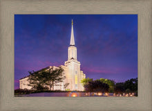 Load image into Gallery viewer, Spirit in St. Louis
