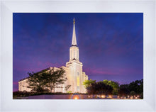 Load image into Gallery viewer, Spirit in St. Louis
