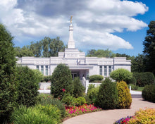 Load image into Gallery viewer, St. Paul Day
