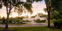 Load image into Gallery viewer, St. Paul Refuge
