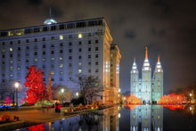 Load image into Gallery viewer, Temple Square Reflecting Pool
