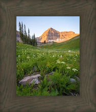 Load image into Gallery viewer, The Meadow
