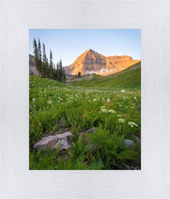 Load image into Gallery viewer, The Meadow
