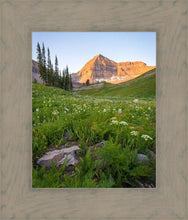 Load image into Gallery viewer, The Meadow
