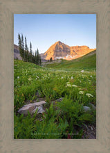 Load image into Gallery viewer, The Meadow
