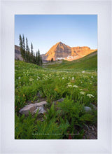 Load image into Gallery viewer, The Meadow
