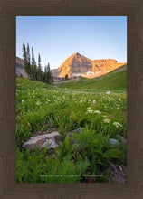 Load image into Gallery viewer, The Meadow
