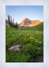 Load image into Gallery viewer, The Meadow
