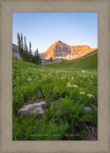 Load image into Gallery viewer, The Meadow
