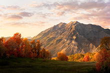 Load image into Gallery viewer, Timpanogos Autumn
