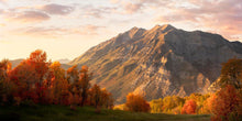 Load image into Gallery viewer, Timpanogos Autumn
