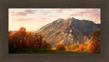 Load image into Gallery viewer, Timpanogos Autumn
