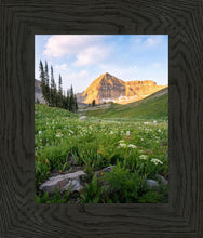 Load image into Gallery viewer, Timpanogos Meadow
