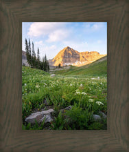 Load image into Gallery viewer, Timpanogos Meadow
