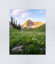 Load image into Gallery viewer, Timpanogos Meadow
