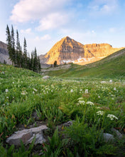Load image into Gallery viewer, Timpanogos Meadow
