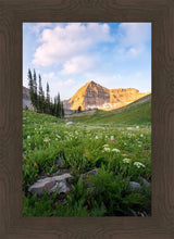 Load image into Gallery viewer, Timpanogos Meadow
