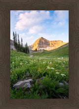 Load image into Gallery viewer, Timpanogos Meadow

