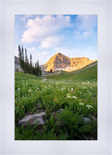Load image into Gallery viewer, Timpanogos Meadow

