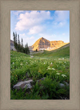 Load image into Gallery viewer, Timpanogos Meadow
