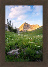 Load image into Gallery viewer, Timpanogos Meadow
