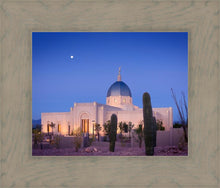 Load image into Gallery viewer, Tucson Cactus Morning
