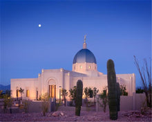 Load image into Gallery viewer, Tucson Cactus Morning
